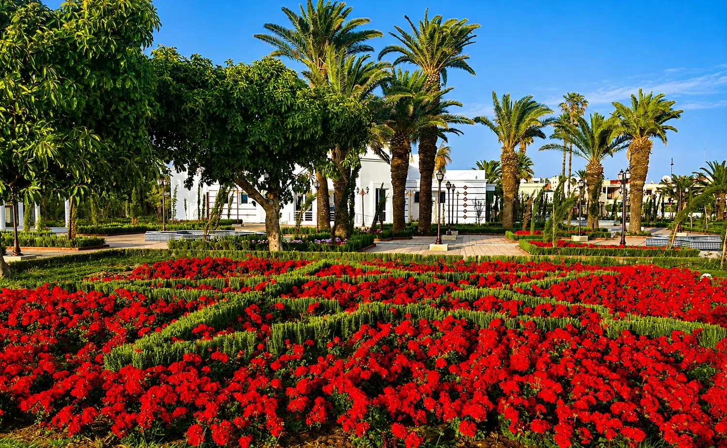 Cité des Arts et de la Culture — massifs fleuris