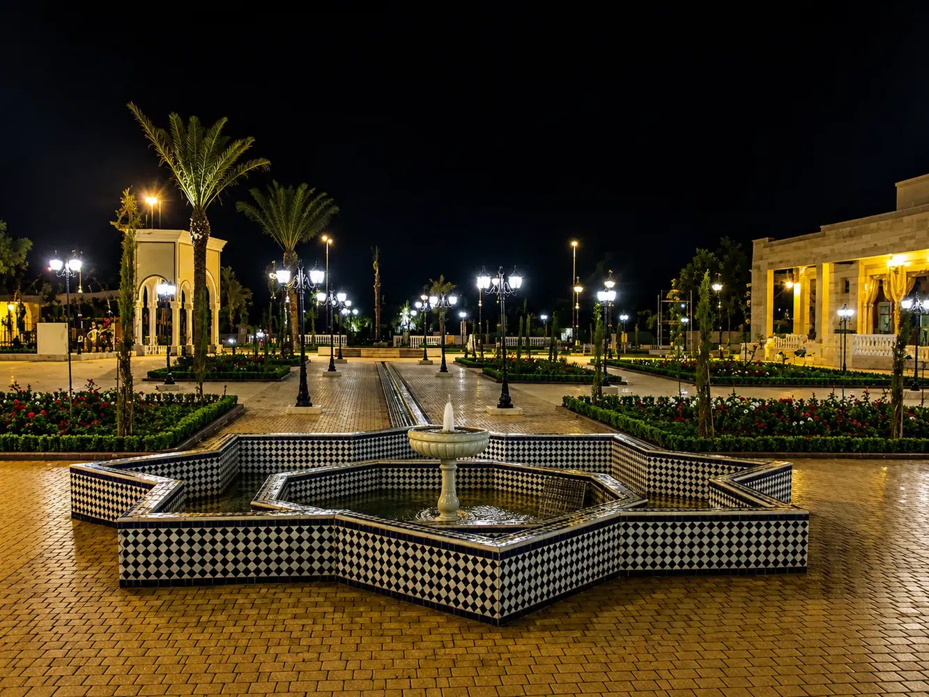 Cité des Arts et de la Culture — ambiance nocturne