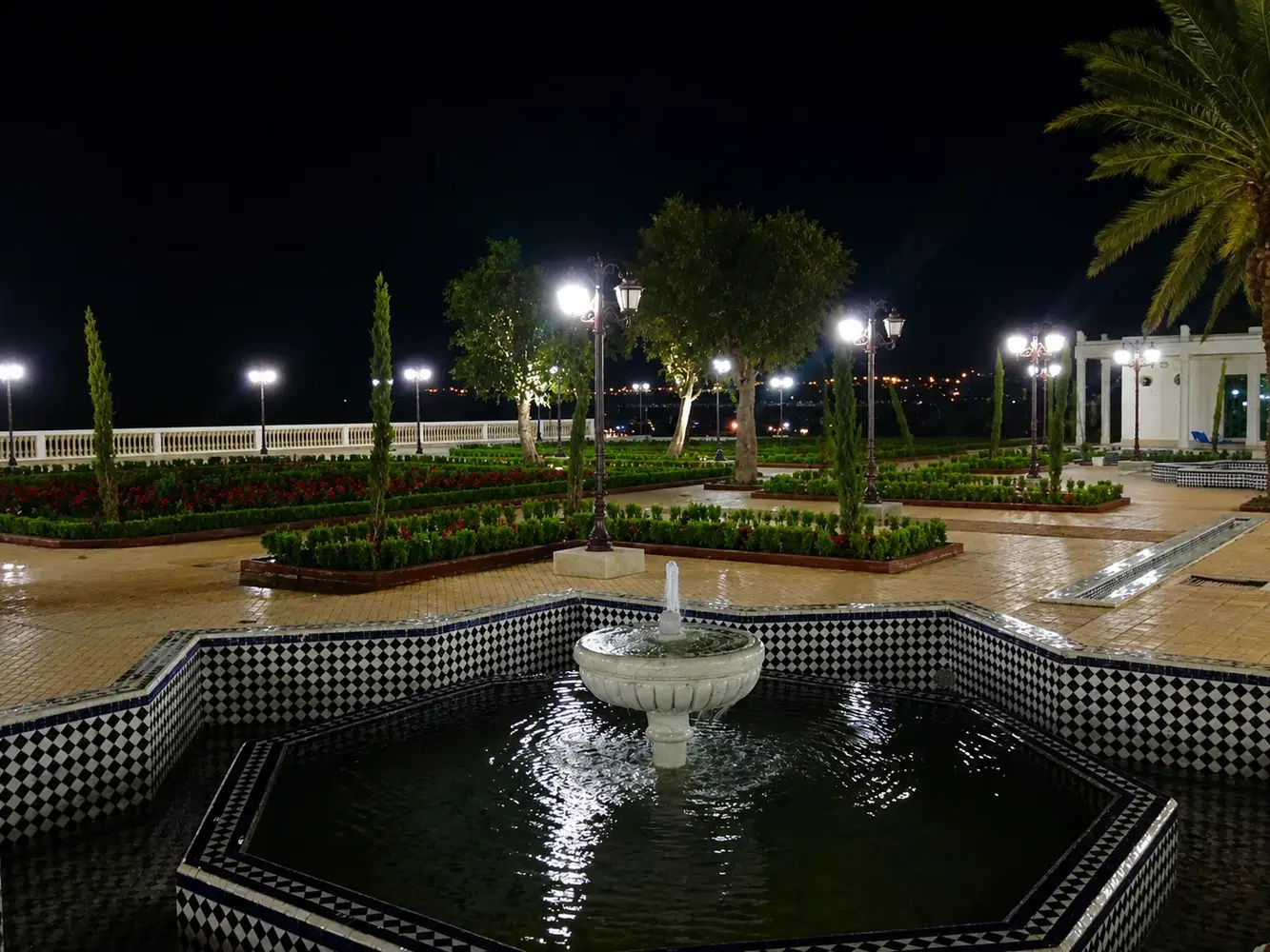 Cité des Arts et de la Culture — bassin de nuit