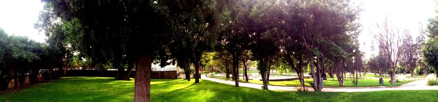 Jardin Jerusalem — panorama arboré et pelouse
