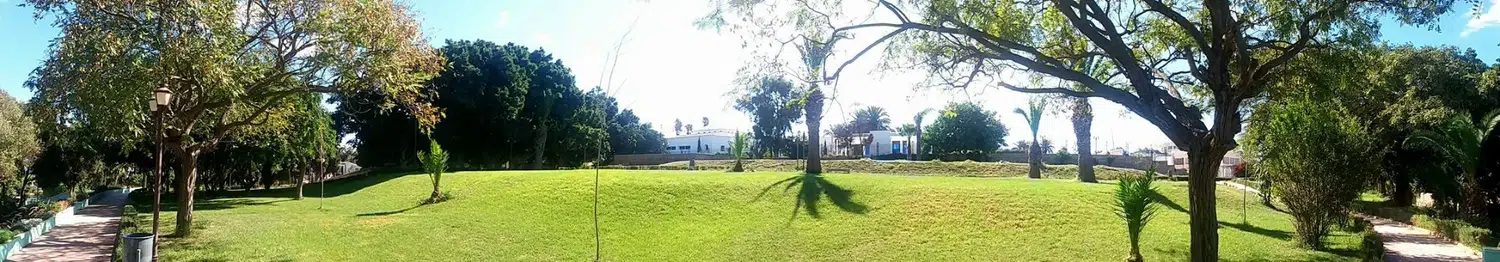Jardin Jerusalem — pelouse centrale et arbres existants