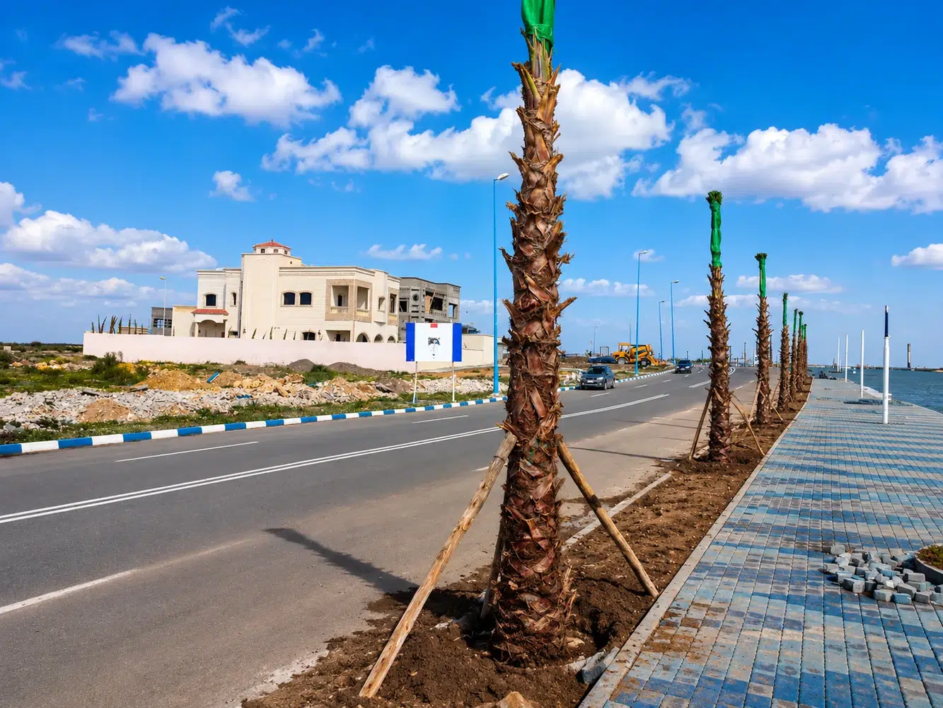 Corniche Sidi Bouzid — alignement de palmiers en cours de plantation