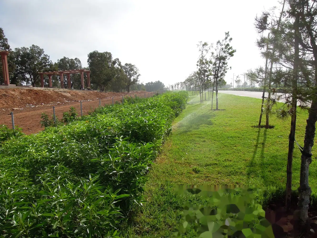 Boulevard Mestari — arrosage et plantations