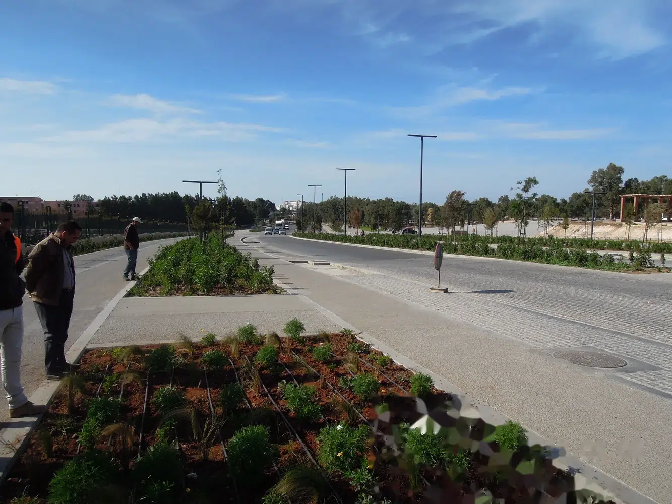 Boulevard Mestari — plantations en bord de voirie
