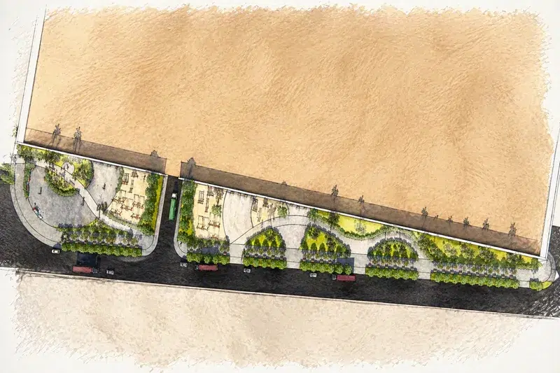 Promenade linéaire Tan-Tan palmiers haies massifs sahariens